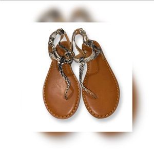America Eagle a outfitters Snake Print Sandals Size 7.5M